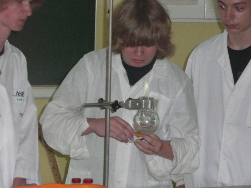 P1060756 [1024x768].JPG